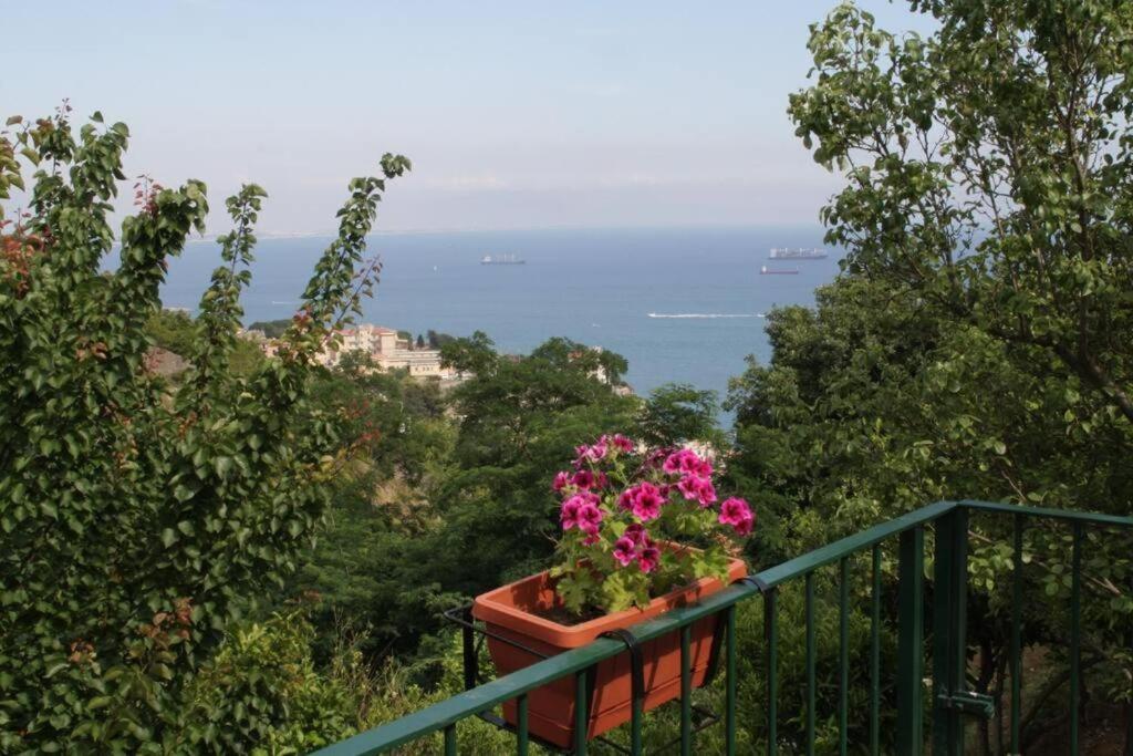 Casa Nives In Emilia